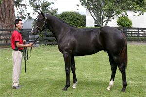 Sebring purchase looks astute